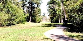 春夏季公园景色有步道、人行道。