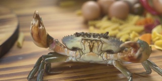 eafood概念。厨房桌上的活螃蟹，意大利面为背景。用于意大利餐厅做海鲜的海蟹。健康食品和饮食。豪华地中海餐厅的新鲜食材