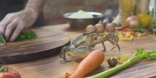 海鲜餐厅。做饭时，海蟹在餐桌上爬行。地中海风味海鲜餐厅的活蟹。豪华菜肴的新鲜原料