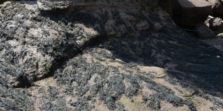 在新不伦瑞克省的霍普威尔岩石上有一个巨大的岩层
