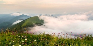 在阳光明媚的夏日早晨，云雾在绿色的群山中移动