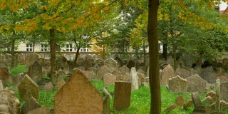 布拉格的老犹太公墓