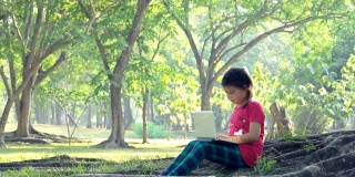 在一个阳光明媚的夏天，女孩们坐在树下使用电脑