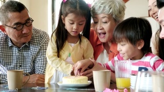 孩子们在家人的陪伴下在家切生日蛋糕视频素材模板下载