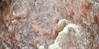 澳大利亚塔斯马尼亚州昆斯敦的国王河河水流过岩石