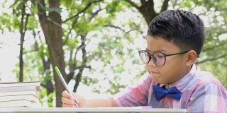 一个亚洲男孩在户外写书。家庭观念、教育观念、小学观念、成长观念、学习观念、发展观念。4 k决议。
