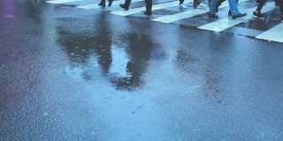 在雨天走斑马线