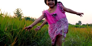 两个小女孩的手触摸着稻田里的绿草。乡村及自然风景