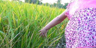 两个小女孩的手触摸着稻田里的绿草。乡村及自然风景