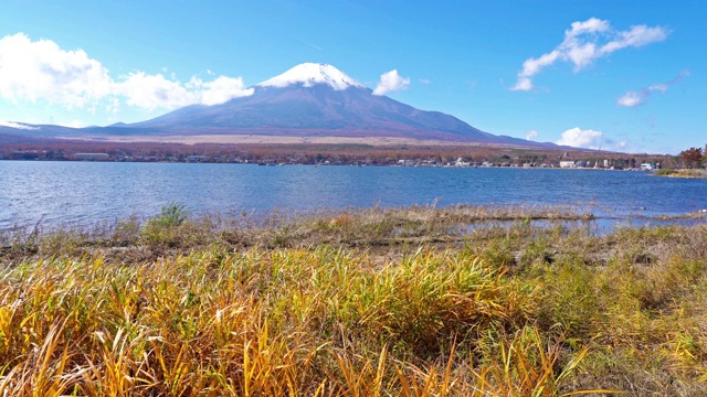 美丽的富士山与枫树在秋天的日本