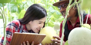 父女一家人闻着甜瓜议论纷纷。快乐的亚洲农民微笑着，在他们自己的农田里捧着一个成熟的西瓜