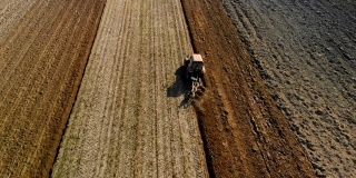 拖拉机-农业单位进行犁耕，在干燥晴朗的天气下培育棕色的土壤