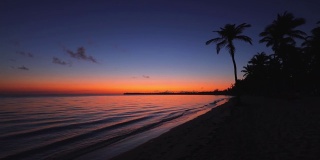 热带日出在异国情调的海滩椰子树