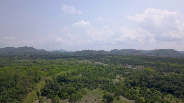 无人机鸟瞰龙眼果园，周围是茂密的绿色热带森林和多山的背景
