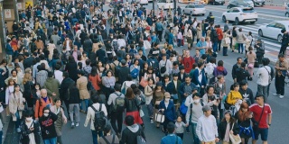 新宿区拥挤的街道