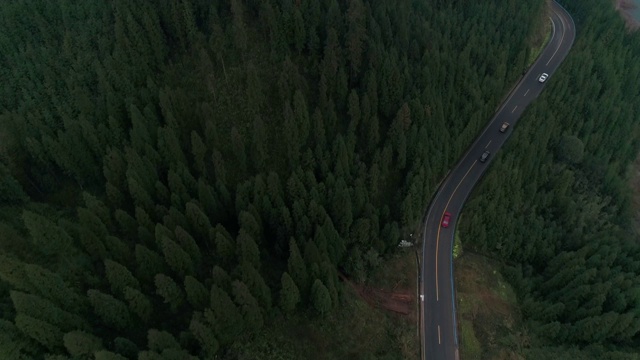 从空中俯瞰森林中蜿蜒的道路上的四辆汽车，4k