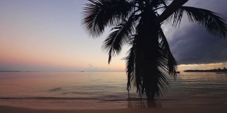 日出在热带海滩和棕榈树。早安，充满异国情调的加勒比海岛屿。