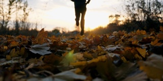 一个不知名的运动员在秋天的公园里慢跑，踩着干燥的枫叶。男运动员在日落背景下的自然训练。健康生活方式的概念。后视图慢动作