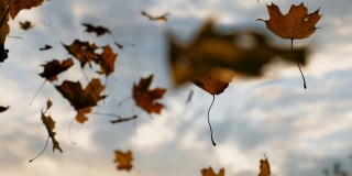 镜头跟着秋叶飘落在森林里的地面上。近距离的明亮的树叶落在天空的背景。夕阳的光芒穿过枯叶。五彩缤纷的秋季。慢动作