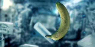 香蕉和航天飞机内漂浮的物体