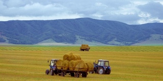 收获农业机械。拖拉机在麦田里收割完一捆捆干草后，把它们装到机器上。