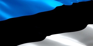 爱沙尼亚国旗在风中飘扬视频片段全高清。现实的爱沙尼亚国旗背景。爱沙尼亚旗帜循环特写1080p全高清1920X1080镜头。爱沙尼亚欧盟欧洲国家旗帜全高清