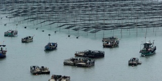 渔民穿过霞浦海岸潮间带