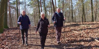 高级徒步旅行者团体在森林里徒步旅行