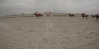 镜头2:中国赛马冲过终点线。
