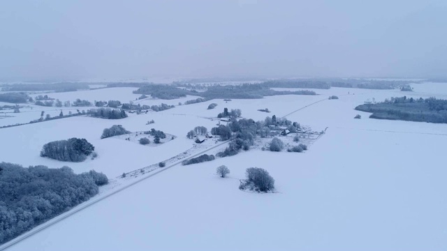 爱沙尼亚雪域森林和农田的鸟瞰图。