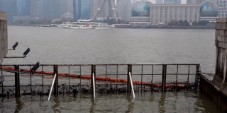 上海黄浦江垃圾门。