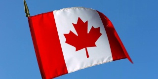 晴空中飘扬的加拿大国旗