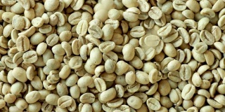 天然有机绿咖啡豆
