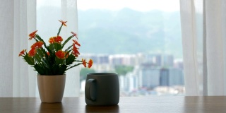 窗帘旁边的桌子上放着一杯咖啡和一朵花