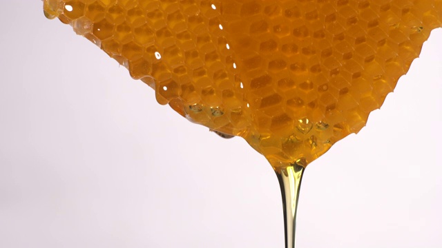 (实时)蜂蜜从蜂巢流动与复制空间