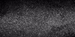 漂浮在黑色背景上的天然有机尘埃颗粒。闪闪发光的粒子与散晶在空气中随机旋转。白色动态粒子与慢动作。在太空中闪烁的粒子