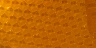 蜂蜜在蜂巢上缓慢流动