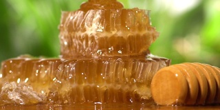 蜂蜜在蜂巢上缓慢流动