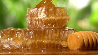 蜂蜜在蜂巢上缓慢流动视频素材模板下载