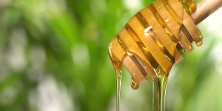 (实时)蜂蜜从带有拷贝空间的木制蜂蜜勺中流出