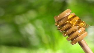 (慢动作和垂直)蜂蜜从一个木制的蜂蜜勺流出视频素材模板下载