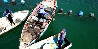 贻贝渔人在独木舟里捕海贻贝，贻贝养殖场