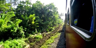 从热带移动的火车4K视图