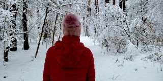 人们漫步在美丽的冬日森林里，触摸树木，享受大自然