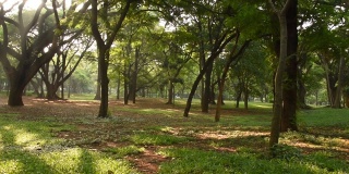 印度卡纳塔克邦班加罗尔的Lalbagh植物园