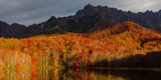 4k时间流逝宽镜头的鹿神池在秋季，长野，日本。