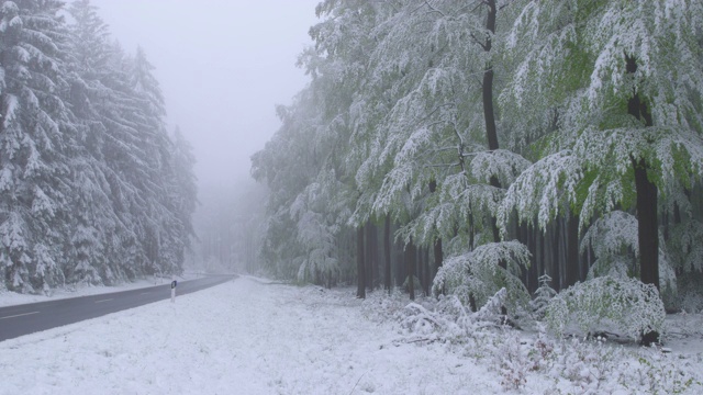 5月的一个雾蒙蒙的春日，冬天突然回来了——一条乡间小路正穿过白雪覆盖的树林——镜头