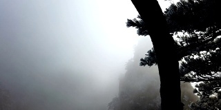 黄山山顶上的雾或黄山上的霜松，黄山，中国