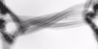 尼龙纤维的微观视图