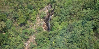 从缆车上俯瞰大屿山的香港林地